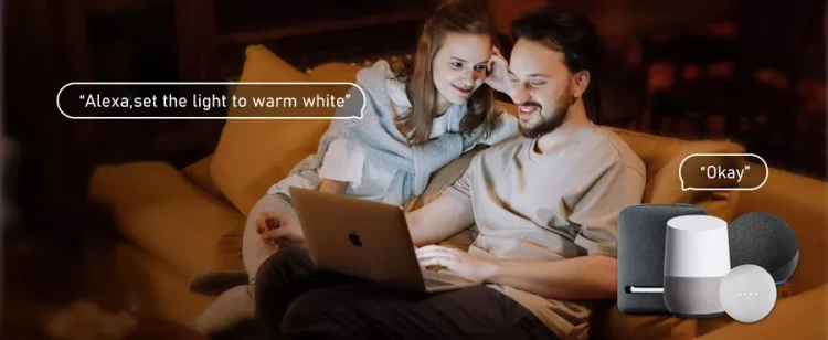 Intelligent Lighting Solution for Smart Homes