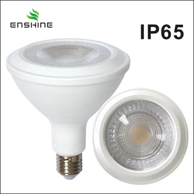 IP65 Par38 Bulb