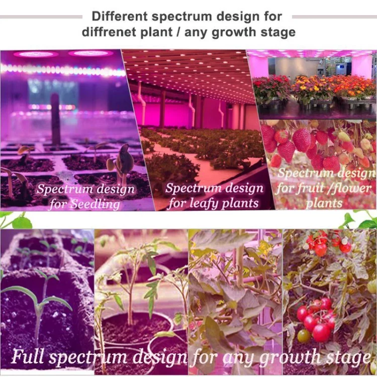 led plant grow bulbs