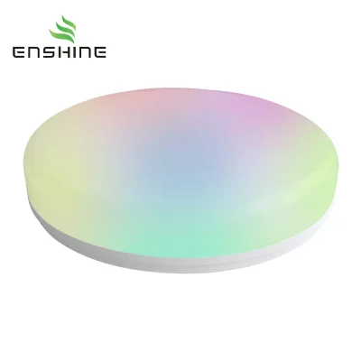 round smart ceiling lamp