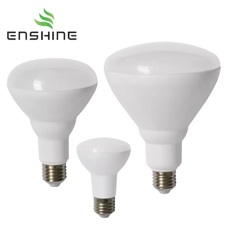 BR-LED-Bulbs