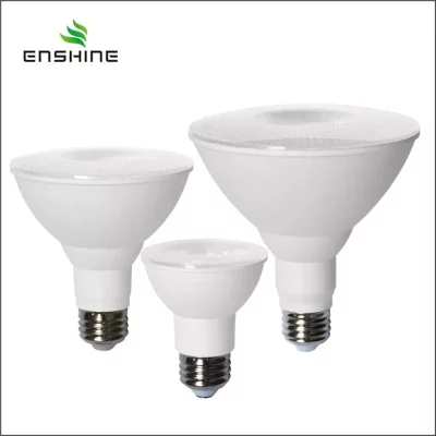 led-par-light-bulbs