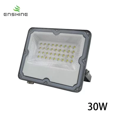 LED IP65 Floodlight 30w