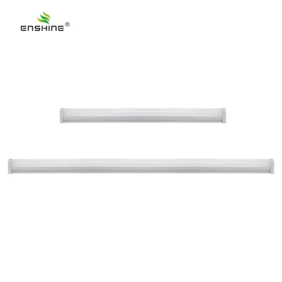 enshine-official_20240326070310