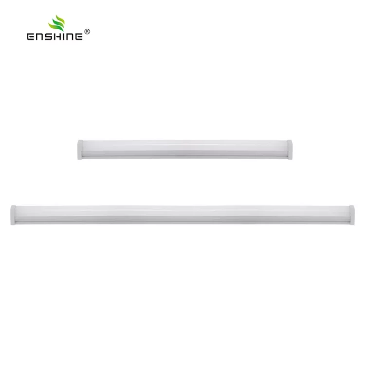 enshine-official_20240326070310