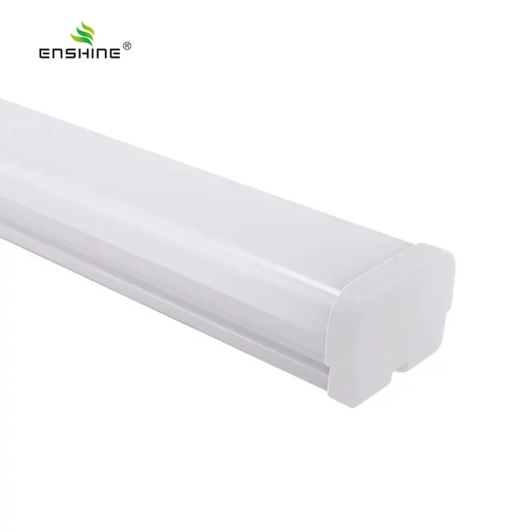 enshine-official_20240326070311