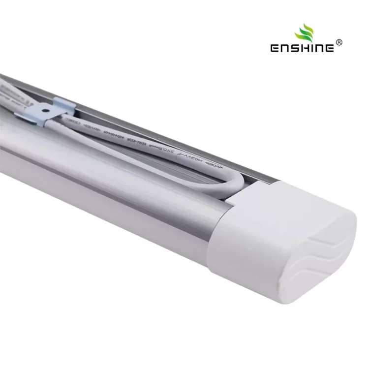 enshine-official_20240326074957