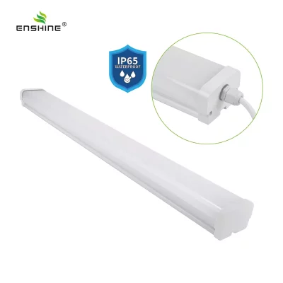 enshine-official_20250410104434