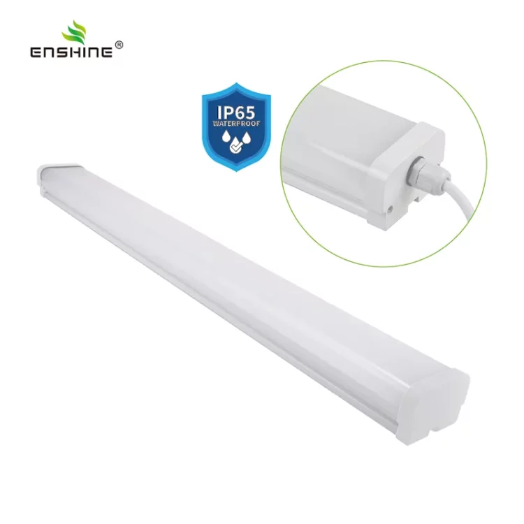 enshine-official_20250410104434