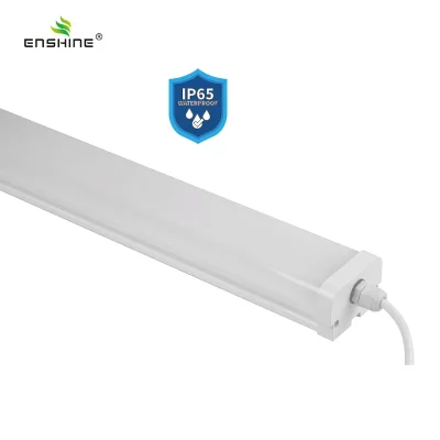 enshine-official_20250410104439