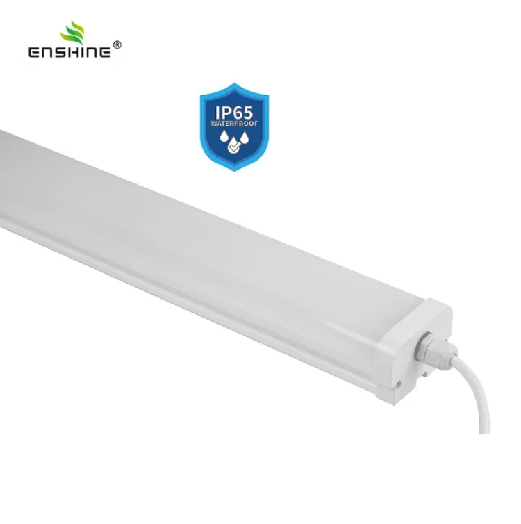 enshine-official_20250410104439