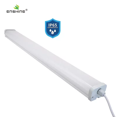 enshine-official_20250410104442