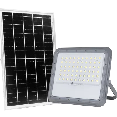 enshine-official_20241202033740