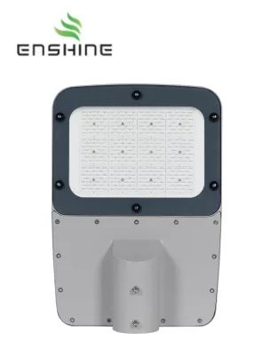 100W