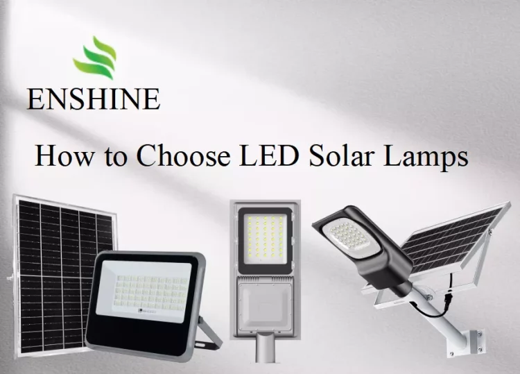 enshine-official_20241212065105