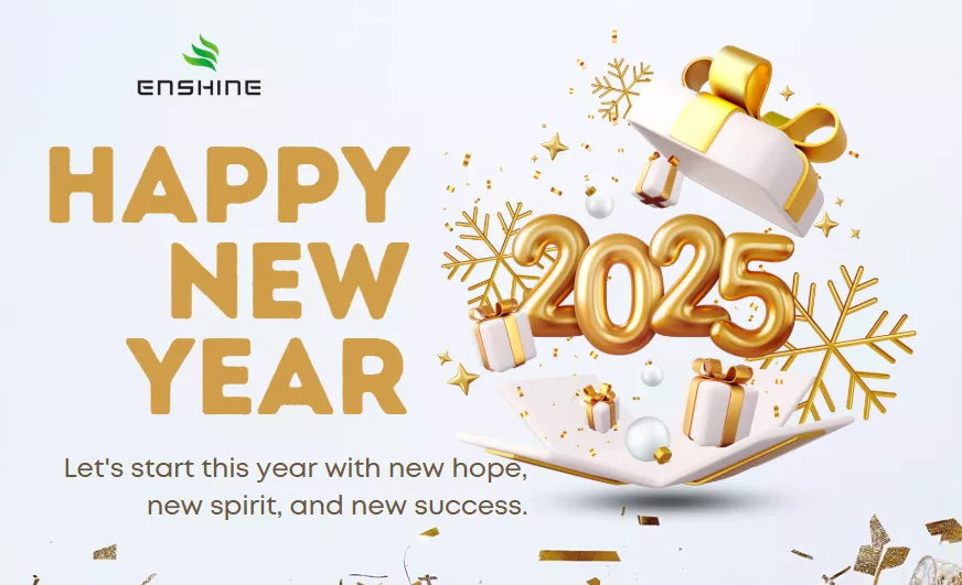 Happy New Year