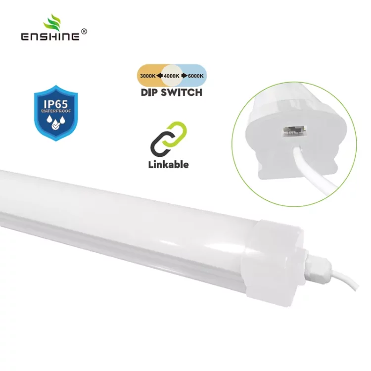 enshine-official_20250410110244