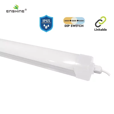 enshine-official_20250410110248