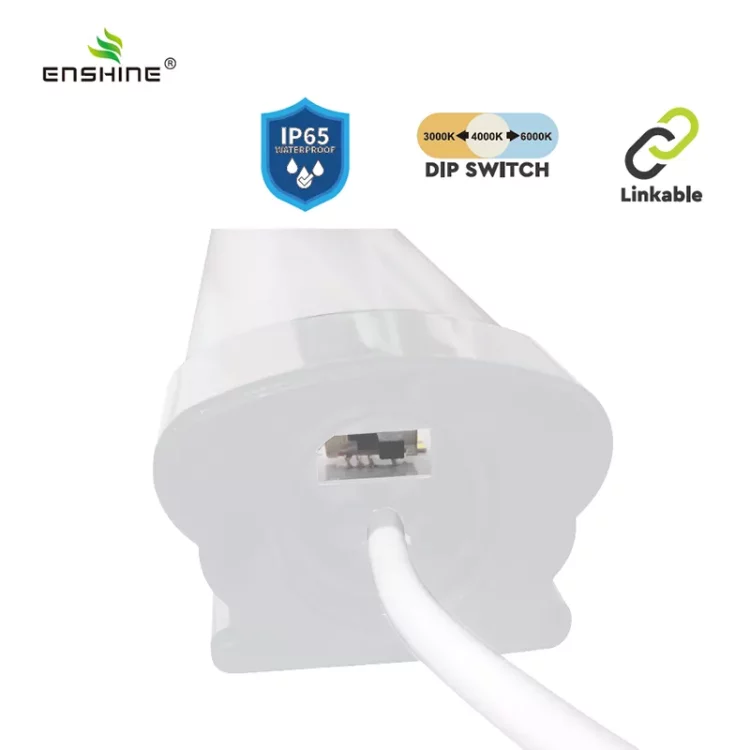 enshine-official_20250410110251