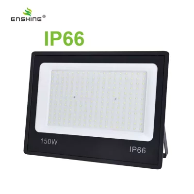 enshine-official_20250410112518