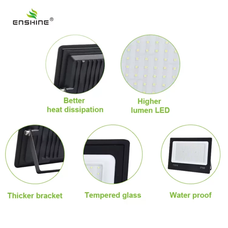 enshine-official_20250410112522