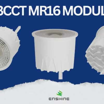 3CCT MR16 MODULE LIGHT