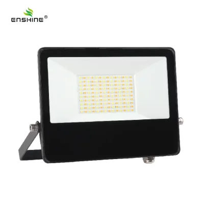 3CCT Floodlight LED