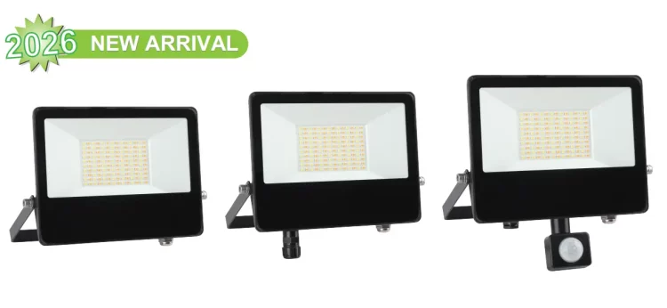 IP65 floodlight European market
