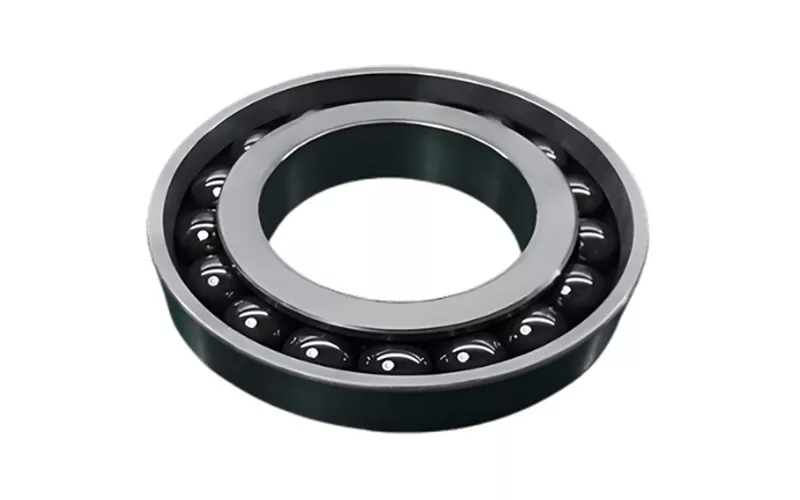 Silicon carbide bearings