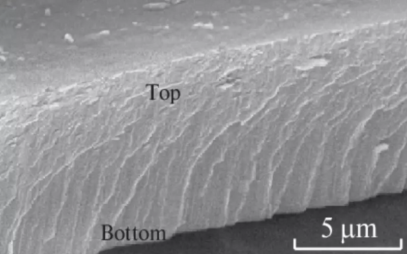 Fig 2., SEM cross section diagram diagram of high purity alumina