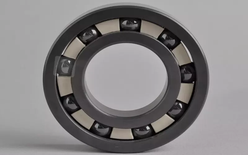 Fig 1., Full ceramic bearing