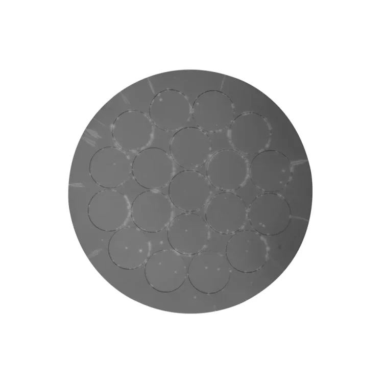 Silicon carbide coated disks for MOCVD systems with excellent thermal and chemical resistance