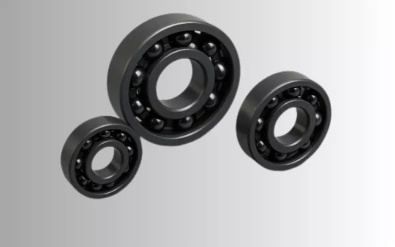 silicon carbide bearings