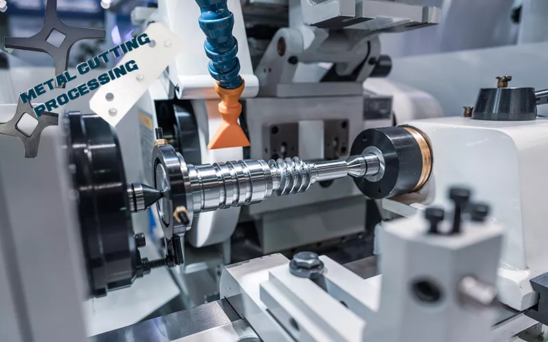 Ceramic sealing ring