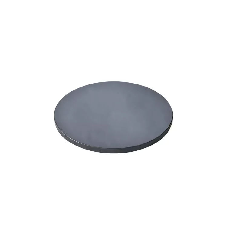 Silicon carbide CMP carrier disk
