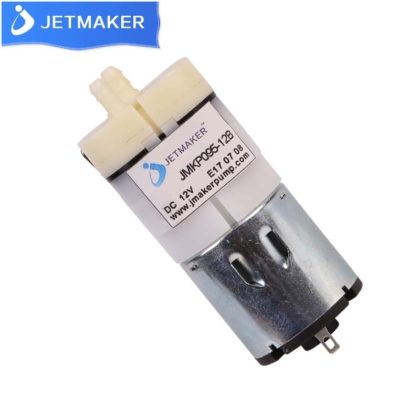 Portable Micro Air Pump 12V Dc 6W Mini High Pressure Air Pump For Eye Nanny