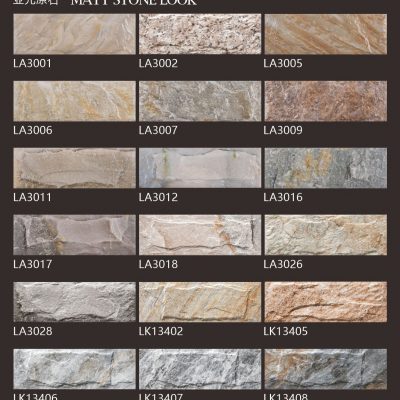 Matt Wall Tile Stone Look 100*300mm