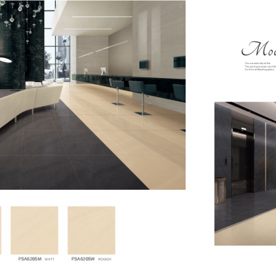 Ceramic Floor Tile Wood