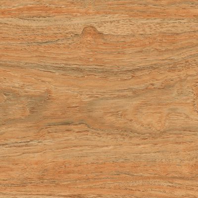 ceramic tile in the bathroom