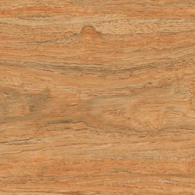 hardwood ceramic tile