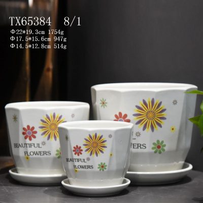 TX65384