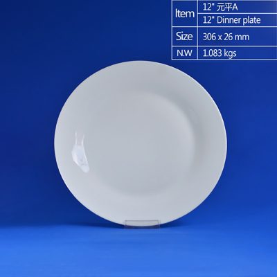 villeroy and boch dinner plates