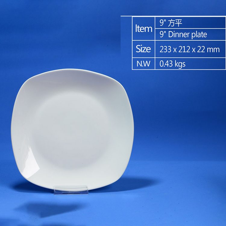 villeroy and boch dinner plates