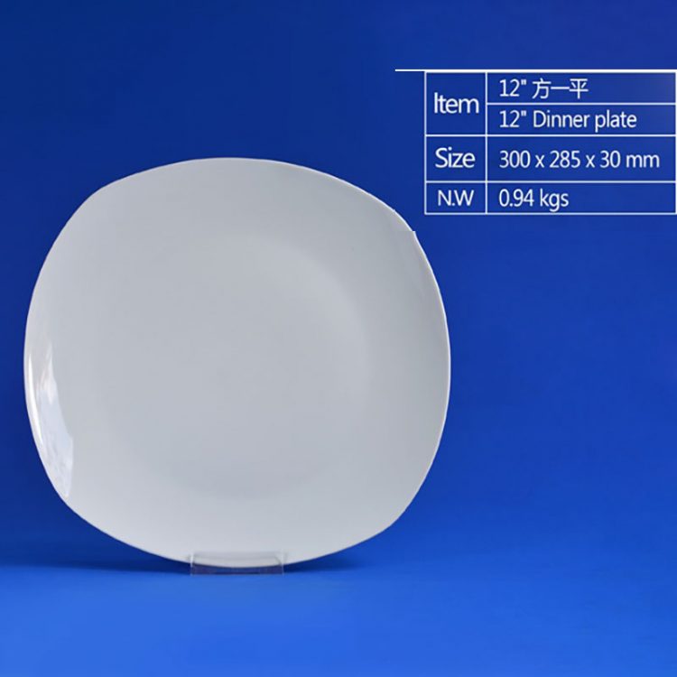 villeroy and boch dinner plates