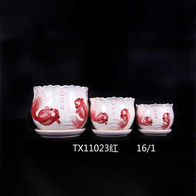hsApp_20210816101556