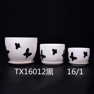 hsApp_20210816113515