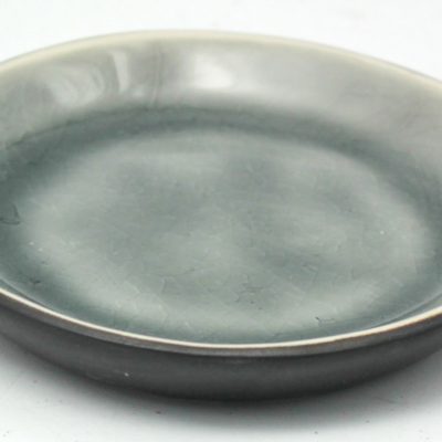 reactive dinner plate