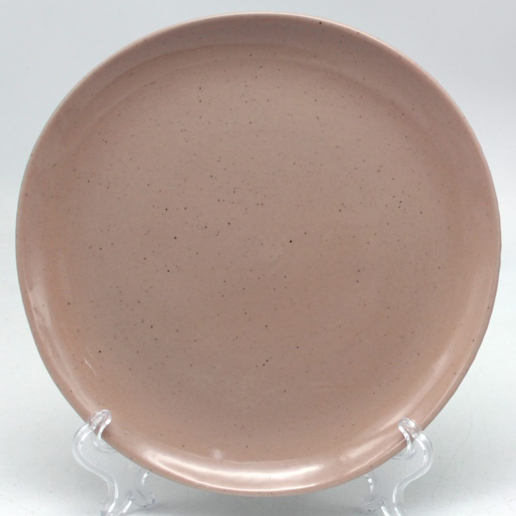 dinner stoneware plate