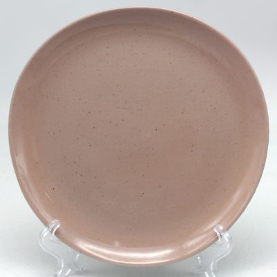 dinner stoneware plate