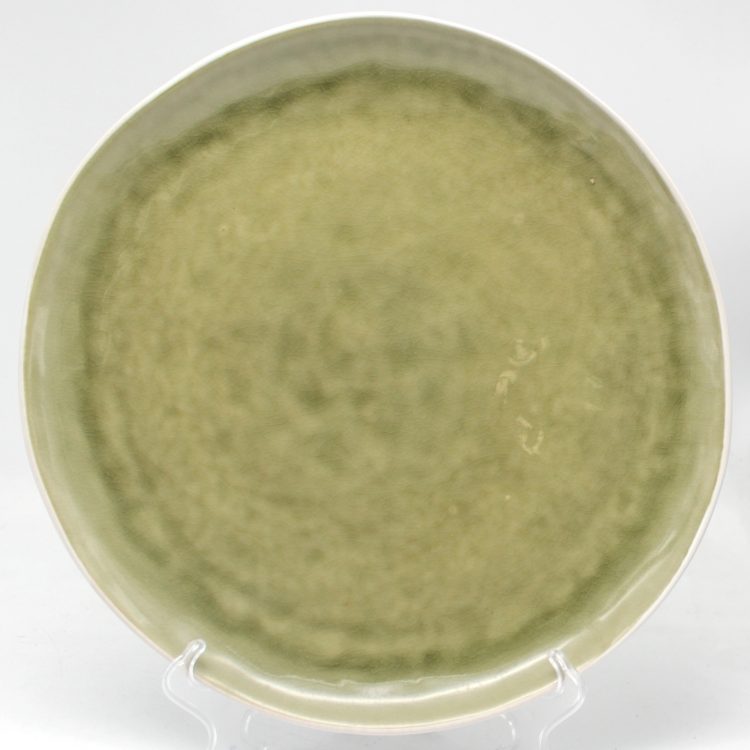 reactive dinner plate